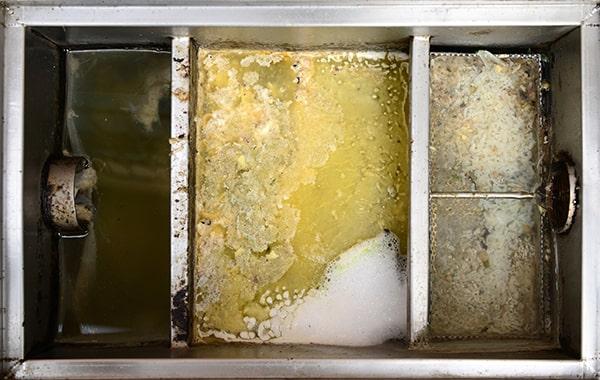 neglecting grease interceptor cleaning can cause ecological contamination, foul odors, and plumbing problems